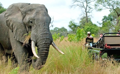 web-aventuraafrica-viaje-overberg-ciudad-del-cabo-kruger-banner3.jpg