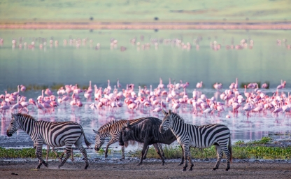 web-aventura-africa-viajes-banner-tanzania-2.jpg
