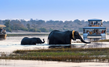 web-aventuraafrica-destinos-botsuana-actividades-crucero.jpg