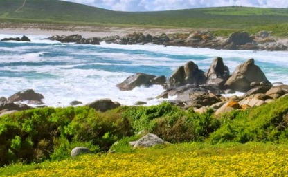 privamera-el-clima-en-sudafrica_480x640_crop_80.jpg