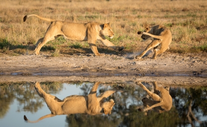 web-aventuraafrica-destinos-botsuana-localizaciones-savuti.jpg