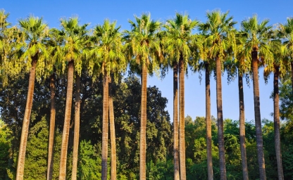 visado-y-vacunas-3_960x640_crop_80.jpg