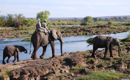 safari-elefante_960x640_crop_80.jpg